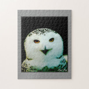 Schneeeulen-Puzzle Puzzle
