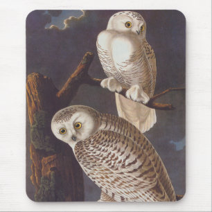 Schneeeulen von Audubon in einer dunklen, schreckl Mousepad