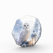 Schneeeulen-Wintermagie Fotoblock (Links)