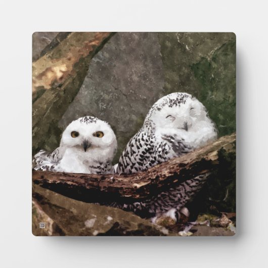 Schneeeulenpaar Wald Wildlife-Kunst Fotoplatte (Vorderseite)