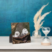 Schneeeulenpaar Wald Wildlife-Kunst Fotoplatte (InSitu)