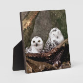 Schneeeulenpaar Wald Wildlife-Kunst Fotoplatte (Vorderseite)