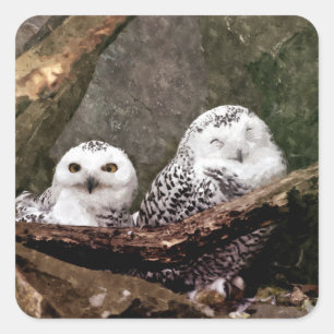 Schneeeulenpaar Wald Wildlife-Kunst Quadratischer Aufkleber