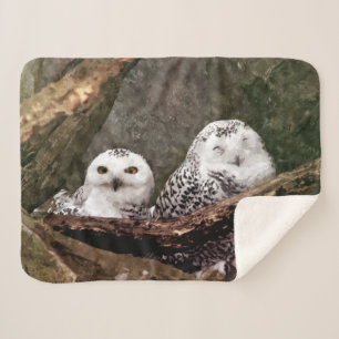 Schneeeulenpaar Wald Wildlife-Kunst Sherpadecke