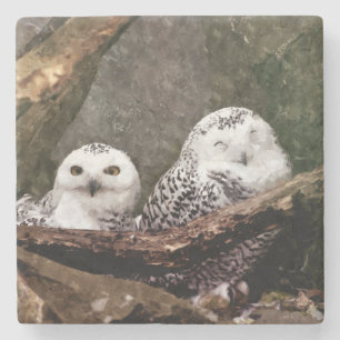 Schneeeulenpaar Wald Wildlife-Kunst Steinuntersetzer