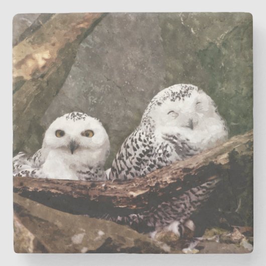 Schneeeulenpaar Wald Wildlife-Kunst Steinuntersetzer (Vorderseite)