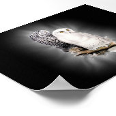 Schneeeuulenposter Poster (Ecke)