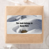 Schneefahrten über die Rockbuchkennung (Insitu)