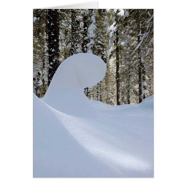 Schneefall 2014 (Vorne)