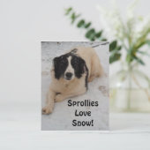 Schneefall auf der Postkarte (Stehend Vorderseite)