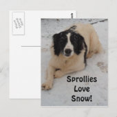 Schneefall auf der Postkarte (Vorne/Hinten)