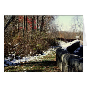 Schneefall auf die Cherohala