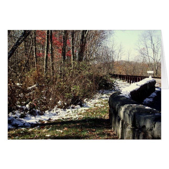 Schneefall auf die Cherohala (Vorderseite (Horizontal))