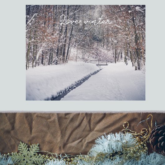 Schneefall beim Parkwurf Poster