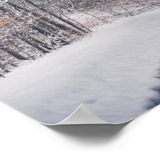 Schneefall beim Parkwurf Poster (Ecke)