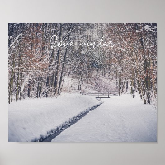 Schneefall beim Parkwurf Poster (Vorne)