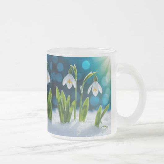 Schneefall-Blume Mattglastasse (Rechts)