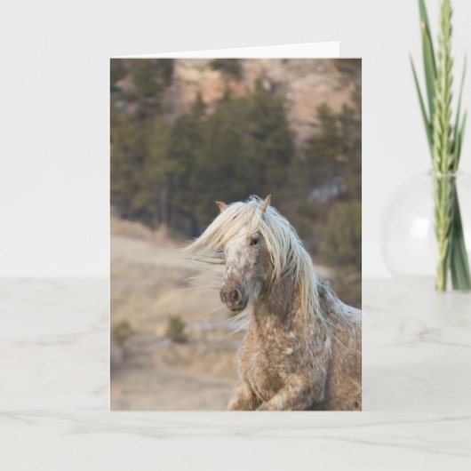 Schneefall - Galloping to Freedom Grußkarte Karte (Vorderseite)