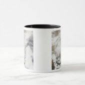 Schneefall in der China Tasse (Zentrum)