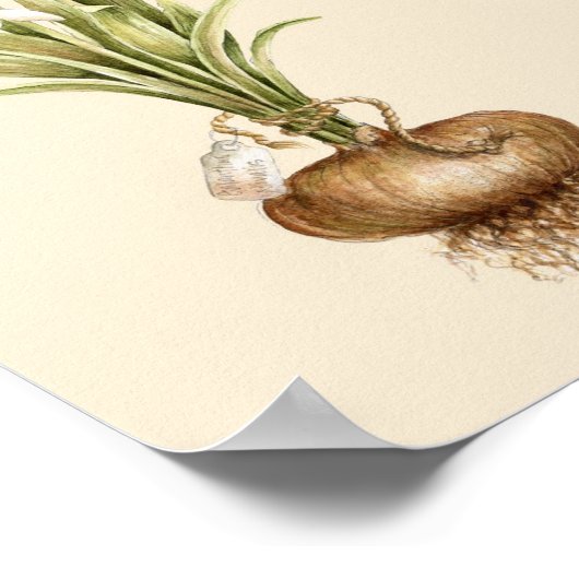 Schneefall - Poster (Ecke)