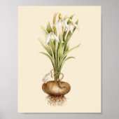 Schneefall - Poster (Vorne)