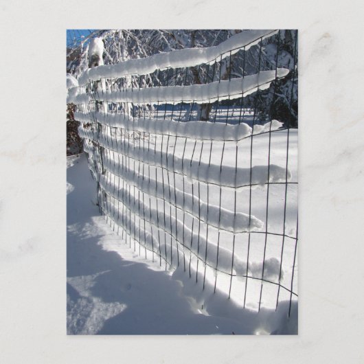 Schneefall ~ Postkarte (Vorderseite)