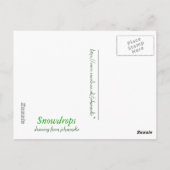 Schneefall Postkarte (Rückseite)