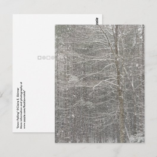 Schneefall Postkarte (Vorne/Hinten)