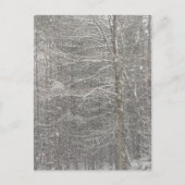 Schneefall Postkarte (Vorderseite)