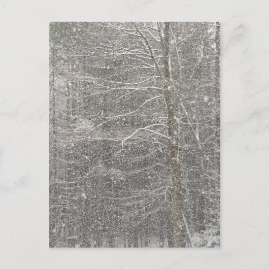 Schneefall Postkarte (Vorderseite)