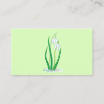 Schneefälle (Galanthus nivalis) Frühlingsblumen