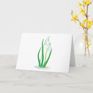Schneefälle (Galanthus nivalis) Frühlingsblumen Karte