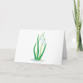 Schneefälle (Galanthus nivalis) Frühlingsblumen Karte (Vorderseite)