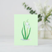 Schneefälle (Galanthus nivalis) Frühlingsblumen Postkarte (Stehend Vorderseite)