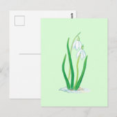 Schneefälle (Galanthus nivalis) Frühlingsblumen Postkarte (Vorne/Hinten)