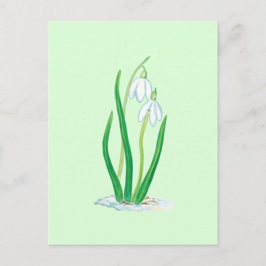 Schneefälle (Galanthus nivalis) Frühlingsblumen Postkarte (Vorderseite)