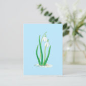 Schneefälle (Galanthus nivalis) Frühlingsblumen Postkarte (Stehend Vorderseite)