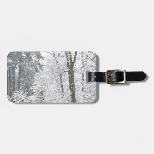 Schneefälle — gepäckanhänger (Vorderseite horizontal)