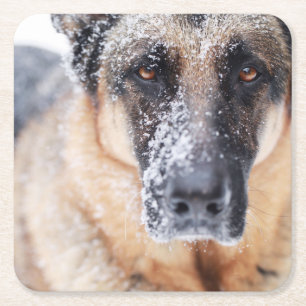 Schneefälle Rechteckiger Pappuntersetzer