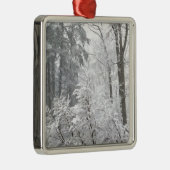 Schneefälle — silbernes ornament (Rechts)
