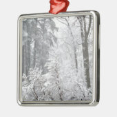 Schneefälle — silbernes ornament (Links)