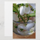Schneefallglas Briefpapier (Vorne/Hinten)
