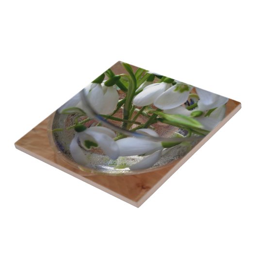 Schneefallglas Fliese (Seite)