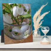 Schneefallglas Fotoplatte (Seite)