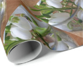 Schneefallglas Geschenkpapier (Rolleneckpunkt)