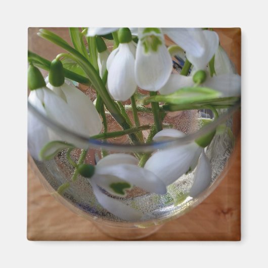 Schneefallglas Magnet (Vorne)