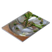 Schneefallglas Notizblock (Linke Seite)