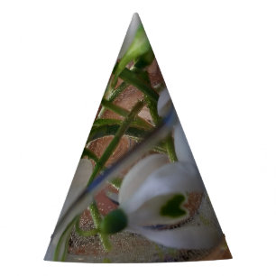 Schneefallglas Partyhütchen