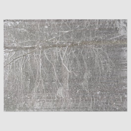 Schneefallpapier Seidenpapier (Vorderseite)