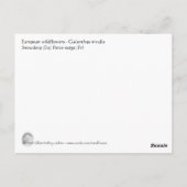 Schneefallpostkarte Postkarte (Rückseite)